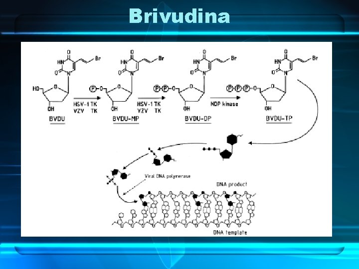 Brivudina 