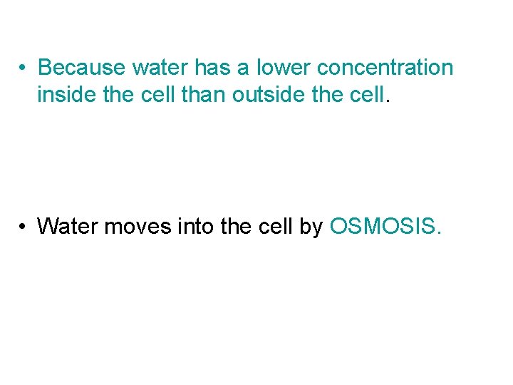  • Because water has a lower concentration inside the cell than outside the