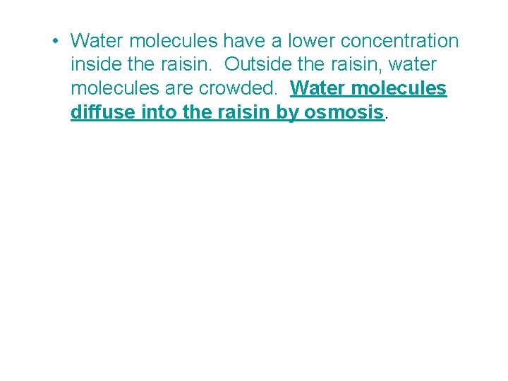  • Water molecules have a lower concentration inside the raisin. Outside the raisin,