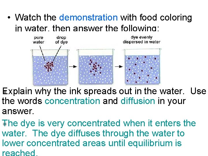 DIFFUSION Food water and other substances are made