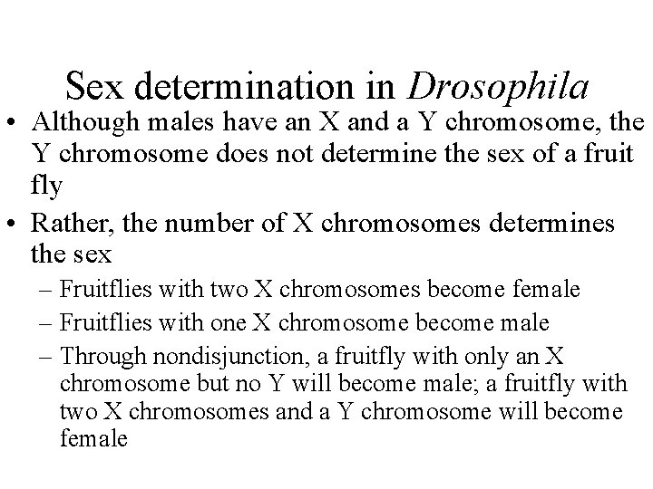 Sex determination in Drosophila • Although males have an X and a Y chromosome,