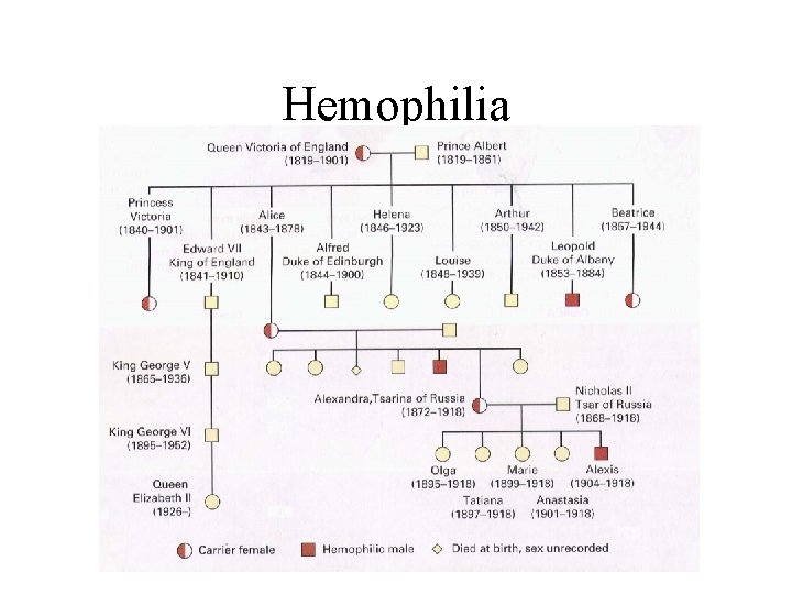 Hemophilia 