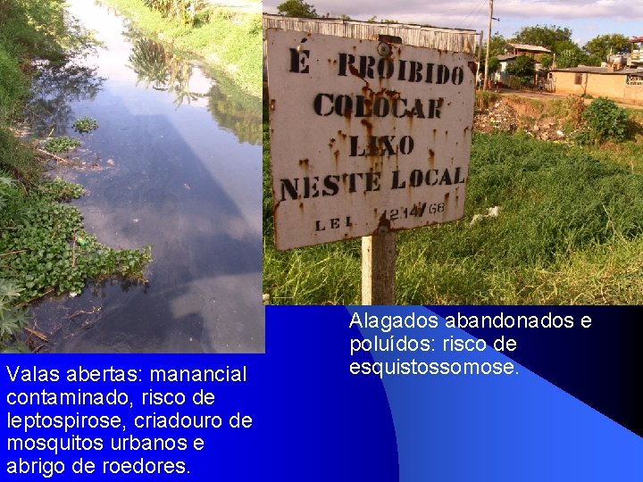 Valas abertas: manancial contaminado, risco de leptospirose, criadouro de mosquitos urbanos e abrigo de