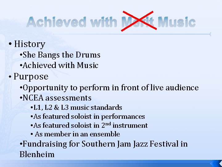 Achieved with Merit Music • History • She Bangs the Drums • Achieved with