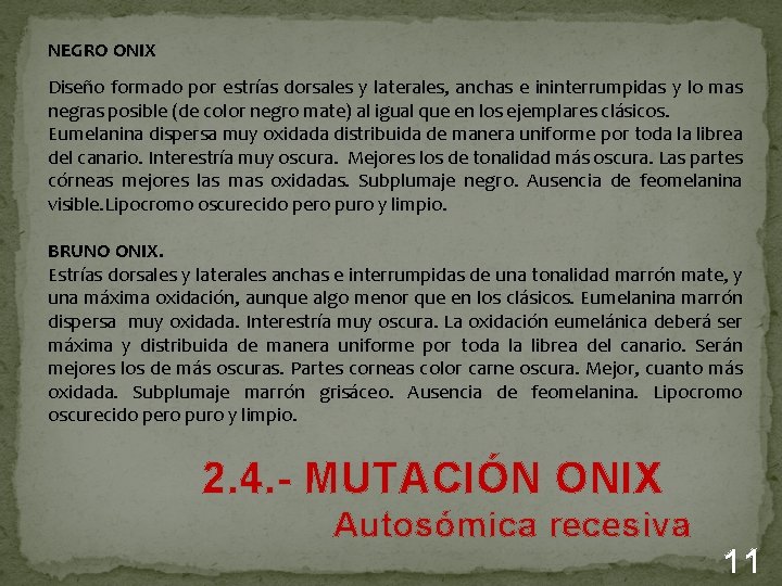 NEGRO ONIX Diseño formado por estrías dorsales y laterales, anchas e ininterrumpidas y lo