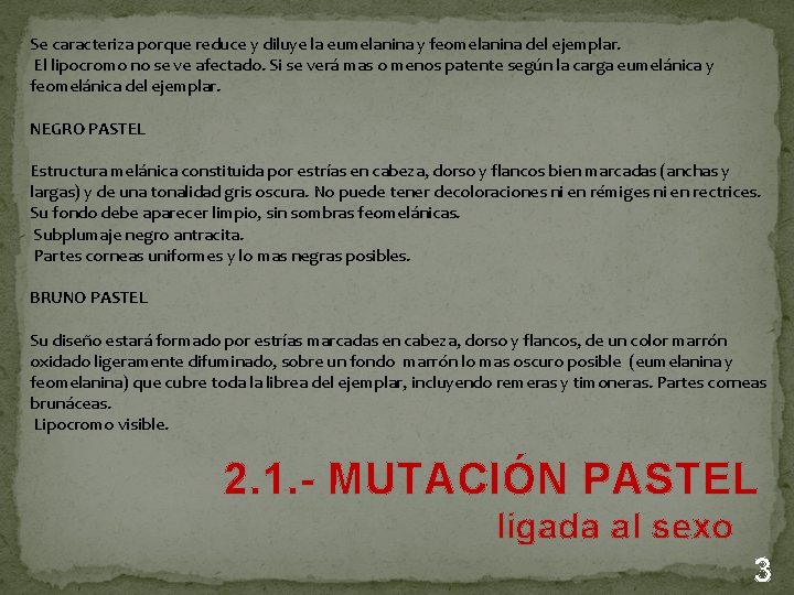  Se caracteriza porque reduce y diluye la eumelanina y feomelanina del ejemplar. El