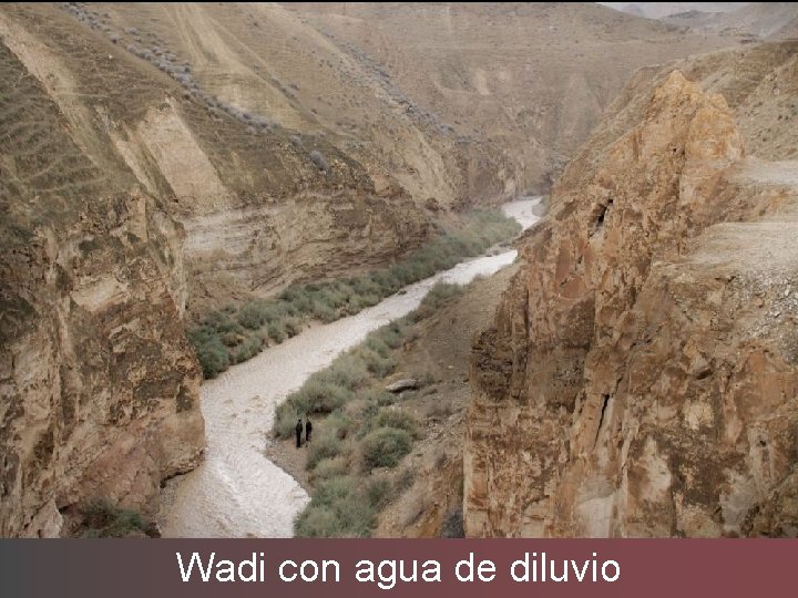 Wadi con agua de diluvio 