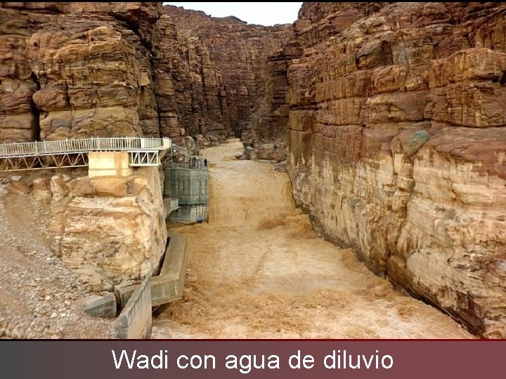 Wadi con agua de diluvio 