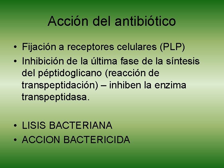 Acción del antibiótico • Fijación a receptores celulares (PLP) • Inhibición de la última