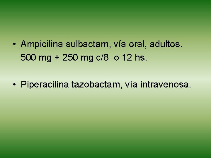  • Ampicilina sulbactam, vía oral, adultos. 500 mg + 250 mg c/8 o