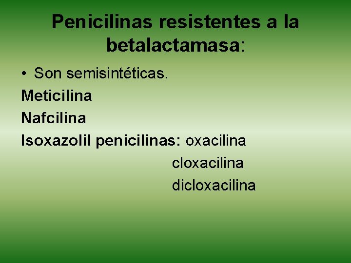 Penicilinas resistentes a la betalactamasa: • Son semisintéticas. Meticilina Nafcilina Isoxazolil penicilinas: oxacilina cloxacilina