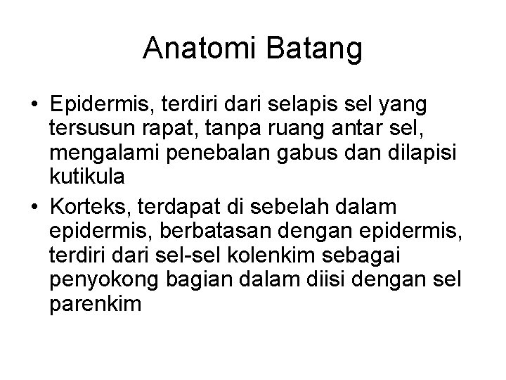 Anatomi Batang • Epidermis, terdiri dari selapis sel yang tersusun rapat, tanpa ruang antar