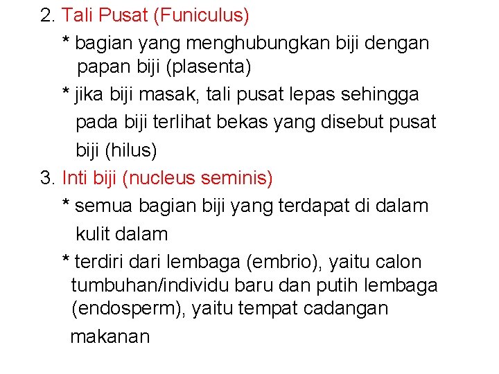 2. Tali Pusat (Funiculus) * bagian yang menghubungkan biji dengan papan biji (plasenta) *