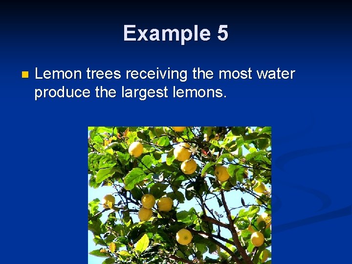 Example 5 n Lemon trees receiving the most water produce the largest lemons. 