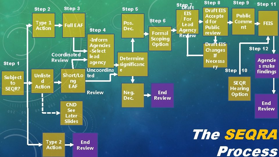 Step 3 Step 2 Type 1 Action Coordinated Review Step 1 Subject to SEQR?