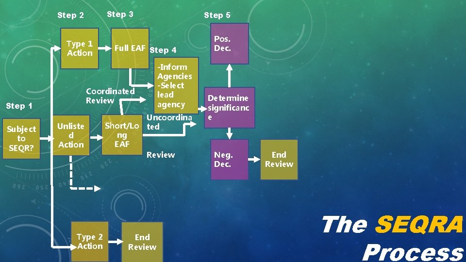 Step 3 Step 2 Type 1 Action Subject to SEQR? Full EAF Step 4