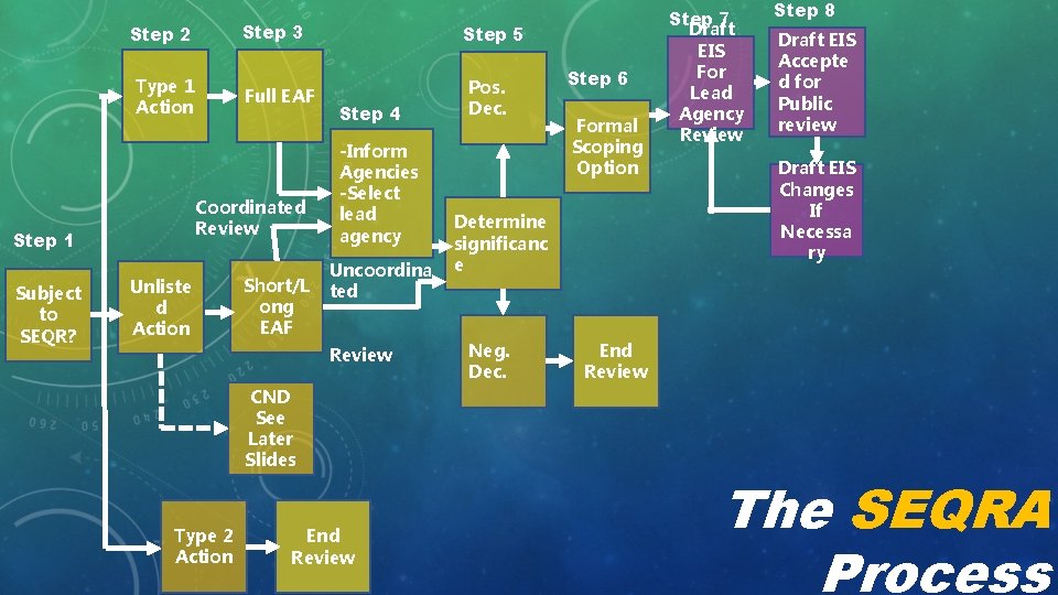 Step 3 Step 2 Type 1 Action Coordinated Review Step 1 Subject to SEQR?