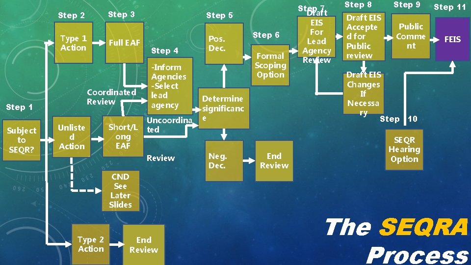 Step 3 Step 2 Type 1 Action Coordinated Review Step 1 Subject to SEQR?