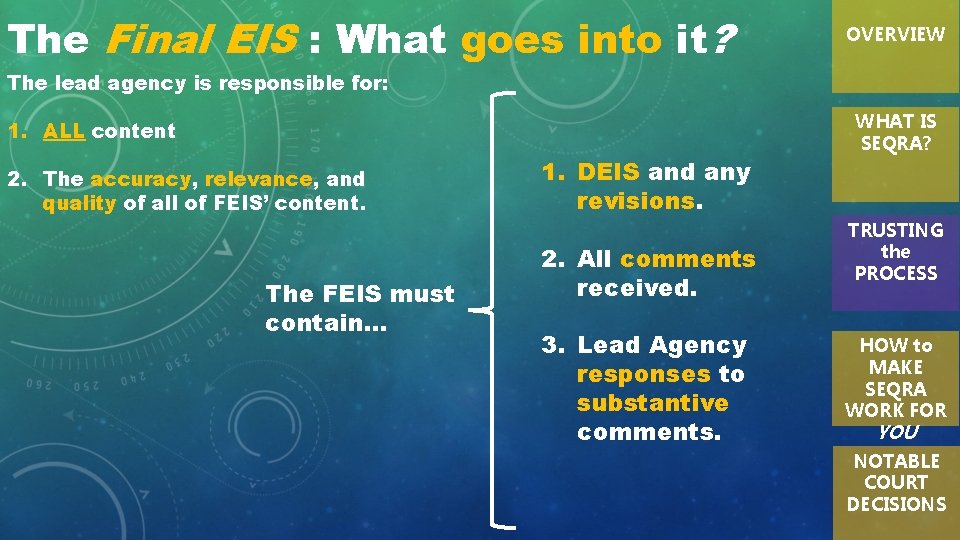 The Final EIS : What goes into it? OVERVIEW The lead agency is responsible