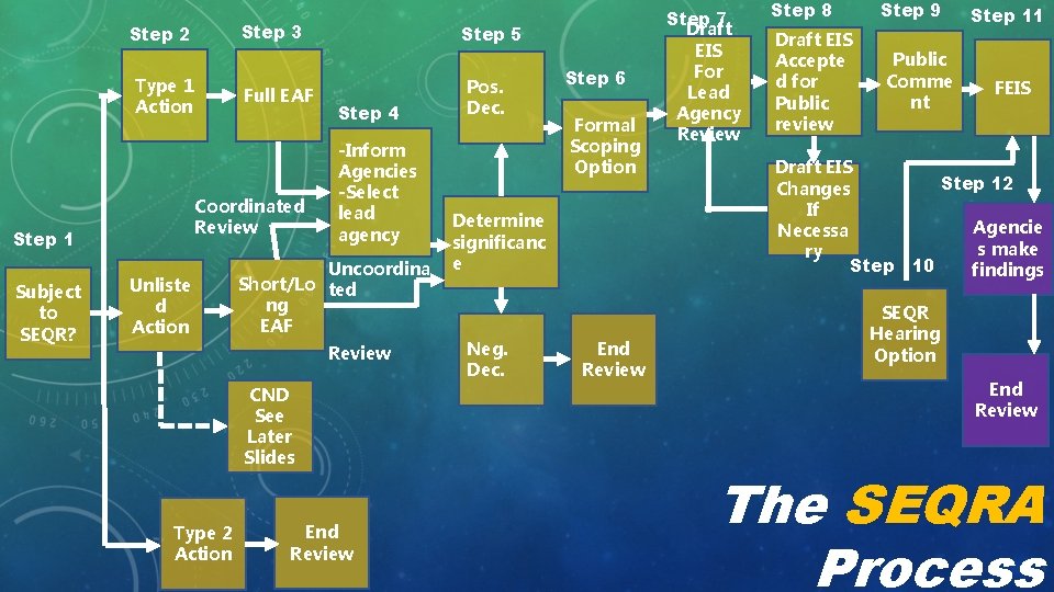 Step 3 Step 2 Type 1 Action Coordinated Review Step 1 Subject to SEQR?