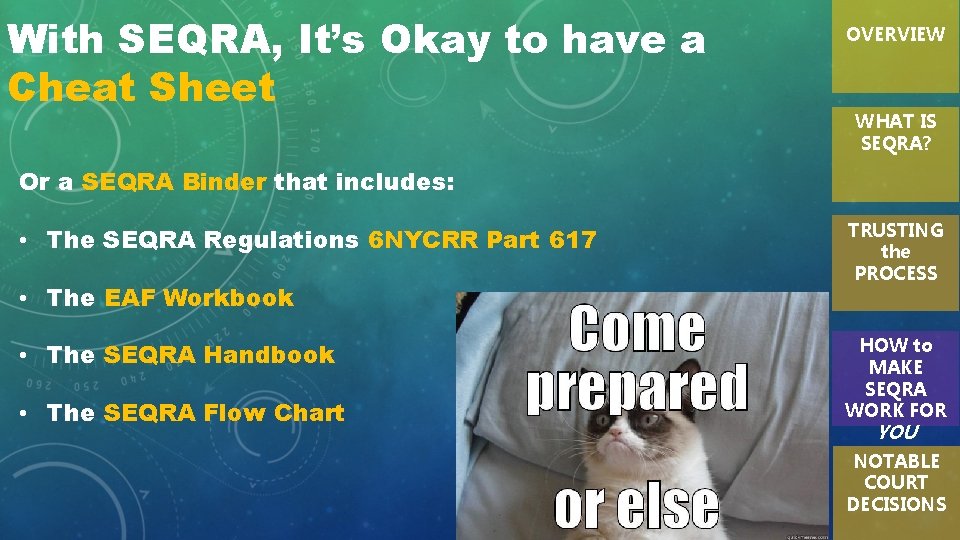 With SEQRA, It’s Okay to have a Cheat Sheet OVERVIEW WHAT IS SEQRA? Or