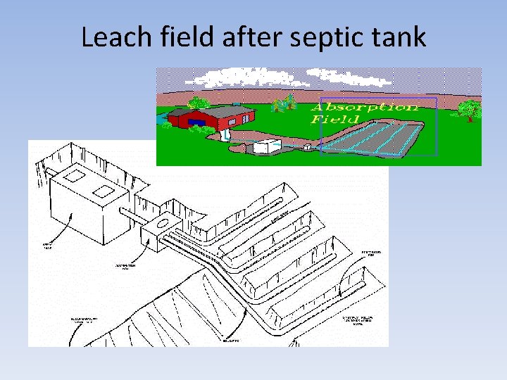 Leach field after septic tank 