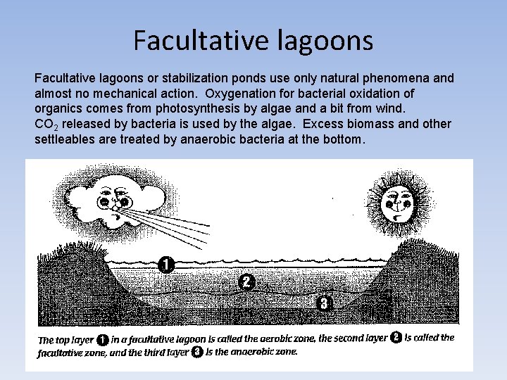 Facultative lagoons or stabilization ponds use only natural phenomena and almost no mechanical action. Facultative lagoons or stabilization ponds use only natural phenomena and almost no mechanical action.