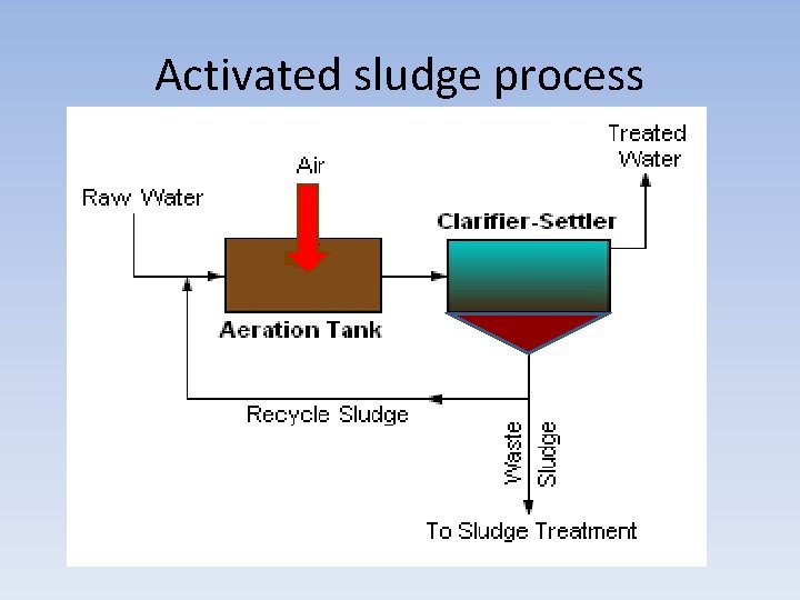 Activated sludge process 