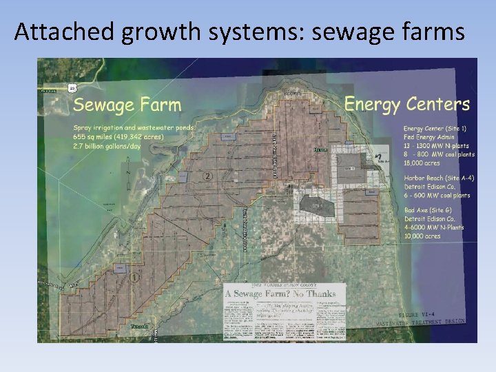 Attached growth systems: sewage farms 