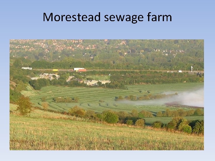 Morestead sewage farm Morestead sewage farm