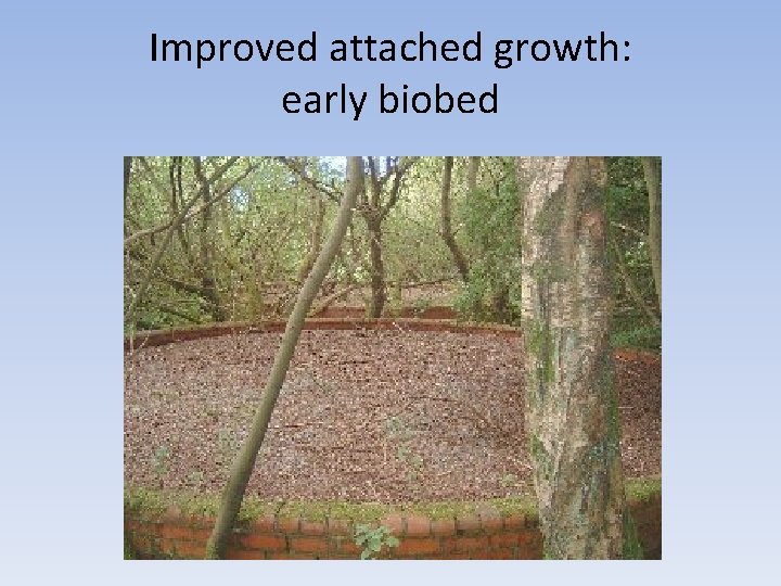 Improved attached growth: early biobed 
