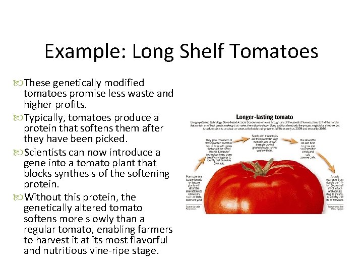 Example: Long Shelf Tomatoes These genetically modified tomatoes promise less waste and higher profits.