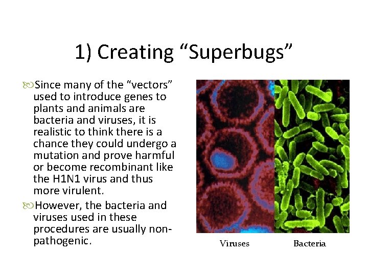 1) Creating “Superbugs” Since many of the “vectors” used to introduce genes to plants