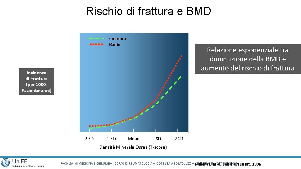 Rischio di frattura e BMD 60 Colonna Radio Relazione esponenziale tra diminuzione della BMD