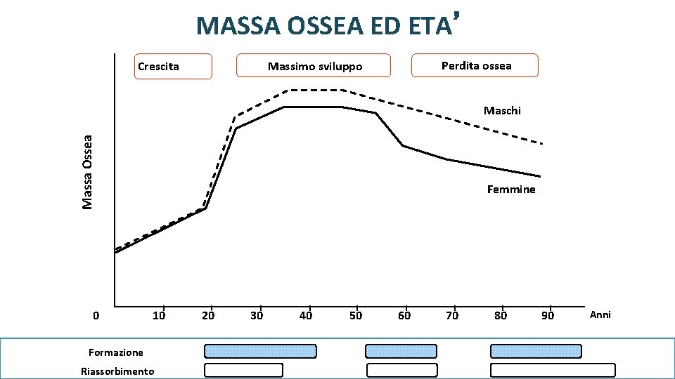 MASSA OSSEA ED ETA’ Crescita Perdita ossea Massimo sviluppo Massa Ossea Maschi Femmine 0