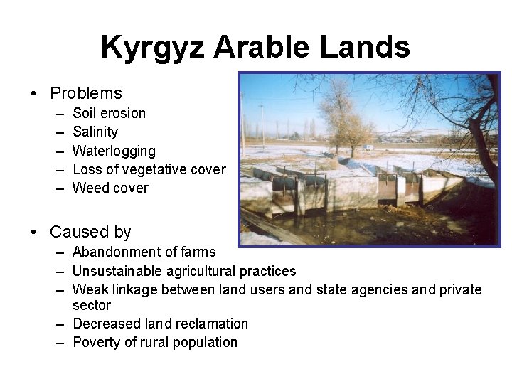 Kyrgyz Arable Lands • Problems – – – Soil erosion Salinity Waterlogging Loss of