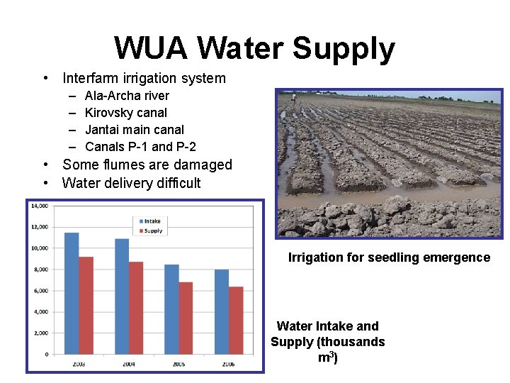 WUA Water Supply • Interfarm irrigation system – – Ala-Archa river Kirovsky canal Jantai