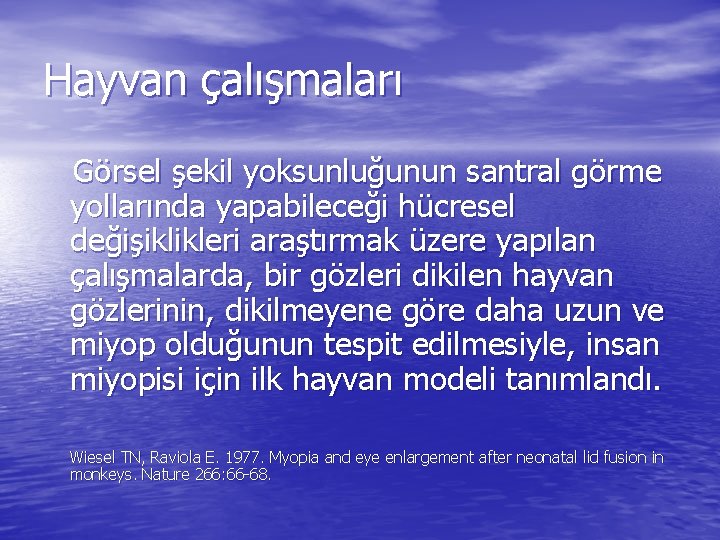 Hayvan çalışmaları Görsel şekil yoksunluğunun santral görme yollarında yapabileceği hücresel değişiklikleri araştırmak üzere yapılan