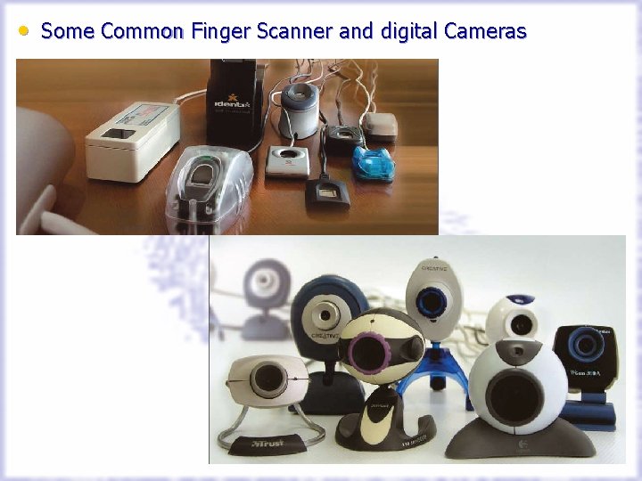  • Some Common Finger Scanner and digital Cameras 