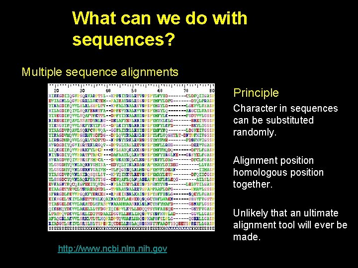 What can we do with sequences? Multiple sequence alignments Principle Character in sequences can