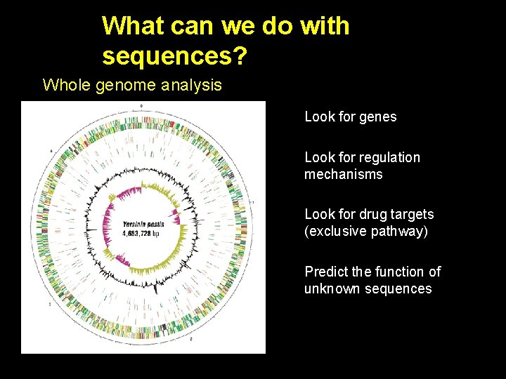 What can we do with sequences? Whole genome analysis Look for genes Look for