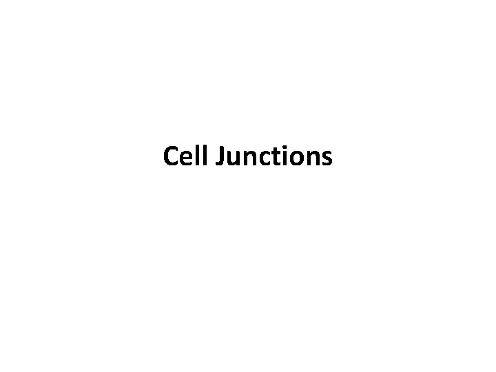 Cell Junctions 