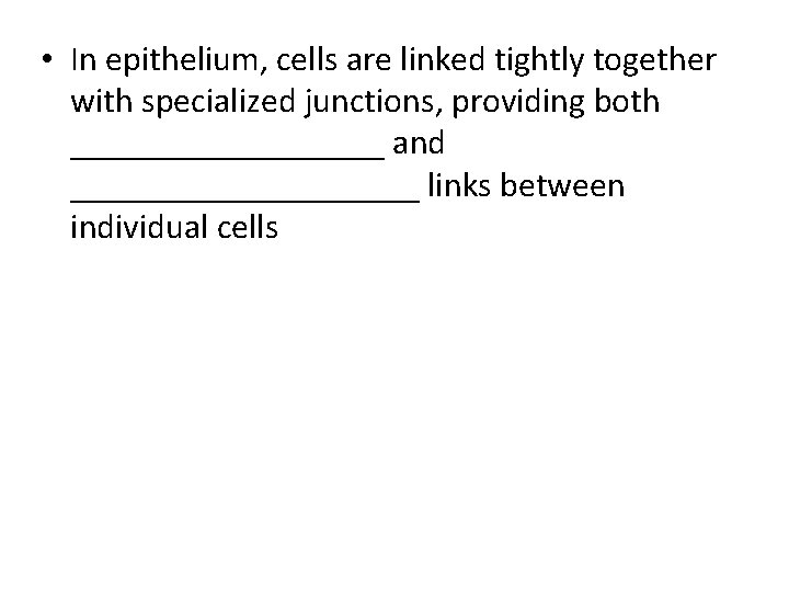  • In epithelium, cells are linked tightly together with specialized junctions, providing both