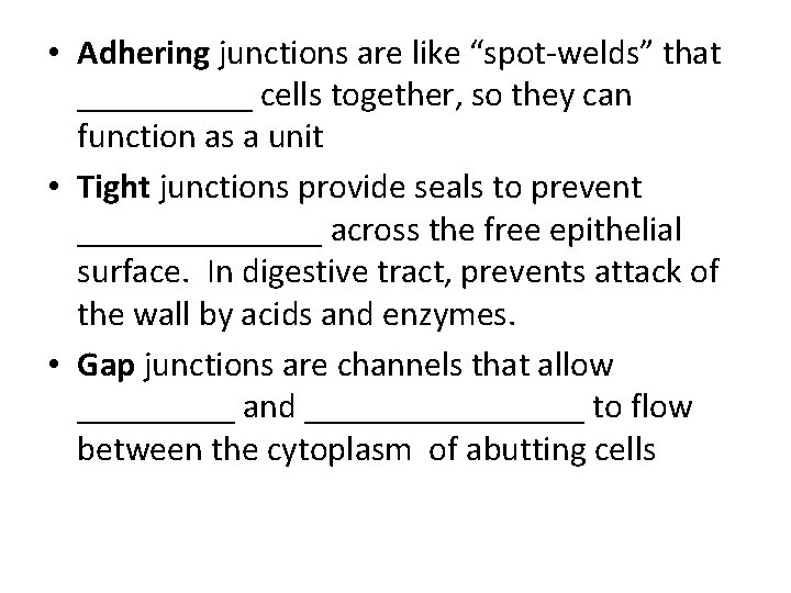 • Adhering junctions are like “spot welds” that _____ cells together, so they • Adhering junctions are like “spot welds” that _____ cells together, so they