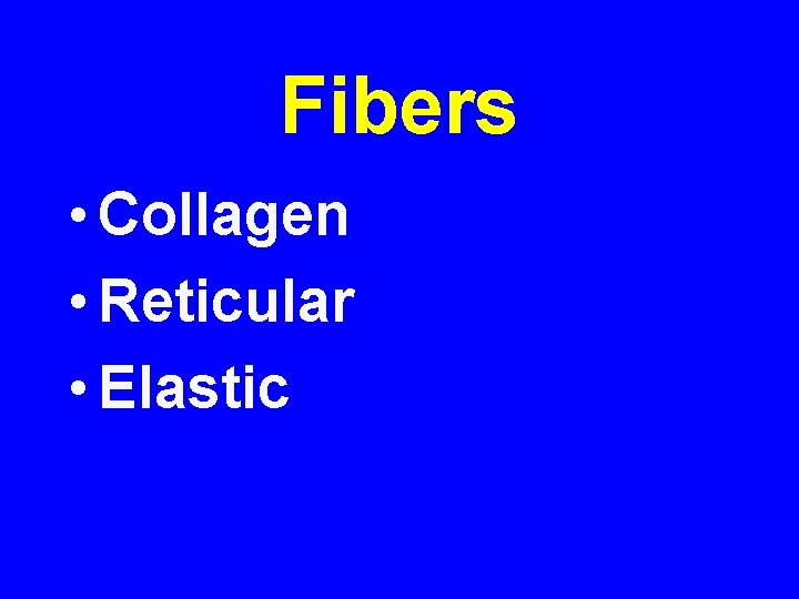 Fibers • Collagen • Reticular • Elastic 