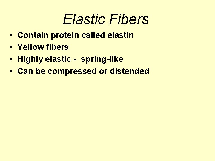 Elastic Fibers • • Contain protein called elastin Yellow fibers Highly elastic - spring-like