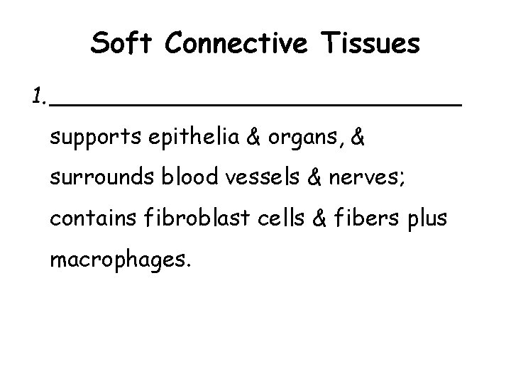 Soft Connective Tissues 1. _______________ supports epithelia & organs, & surrounds blood vessels & Soft Connective Tissues 1. _______________ supports epithelia & organs, & surrounds blood vessels &