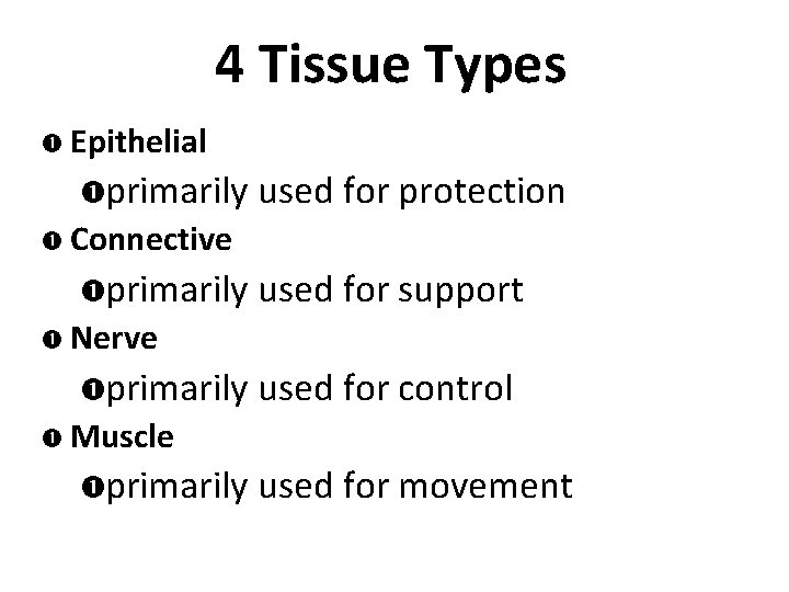 4 Tissue Types Epithelial primarily used for protection Connective primarily used for support Nerve 4 Tissue Types Epithelial primarily used for protection Connective primarily used for support Nerve