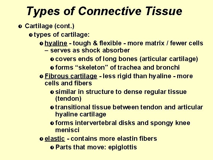 Types of Connective Tissue Cartilage (cont. ) types of cartilage: hyaline - tough &