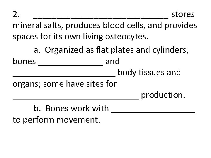 2. _______________ stores mineral salts, produces blood cells, and provides spaces for its own 2. _______________ stores mineral salts, produces blood cells, and provides spaces for its own